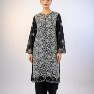2 Piece Elegant Lawn Suit With Premium Front Chicken Kaari