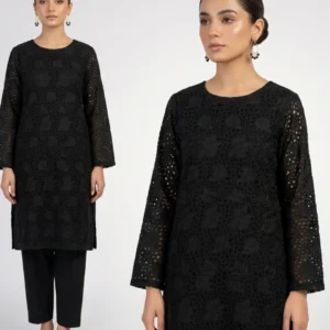 Front Chickenkari Embroidered 2 Pc Lawn Collection - Black Shade